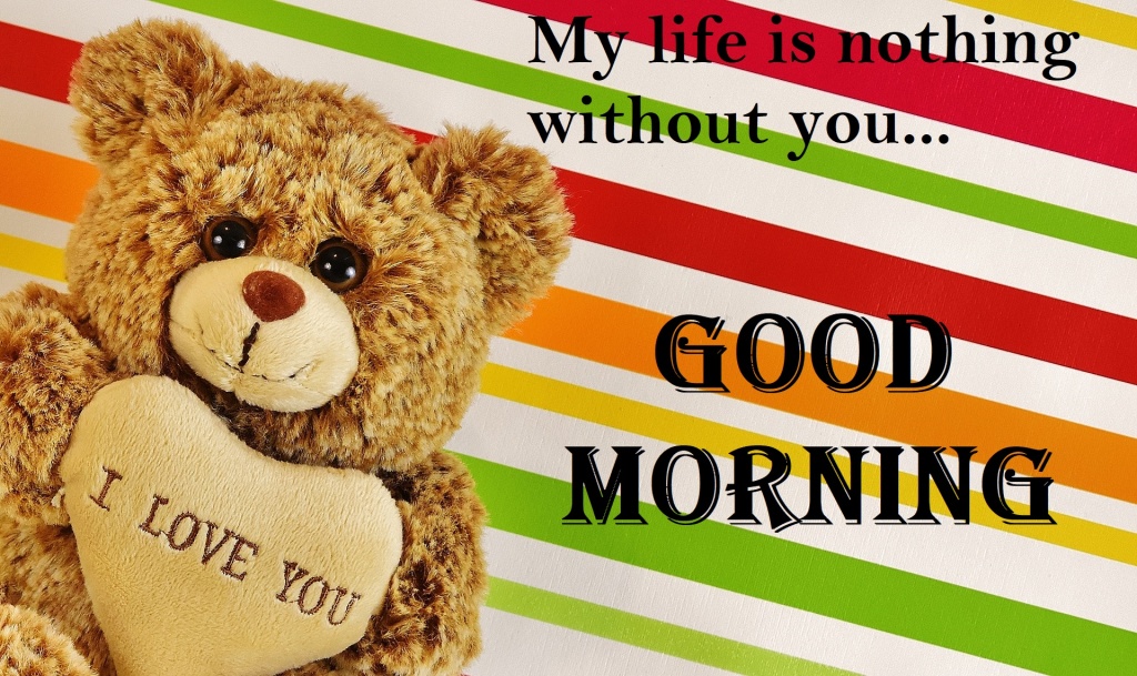 Good Morning Love Profile Pictures [Free Download]