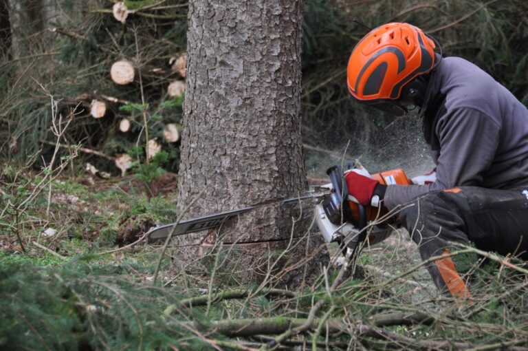 guide-to-starting-your-own-arborist-business-guidebytips