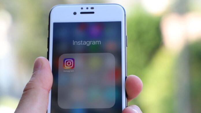 how to grow instagram following for business