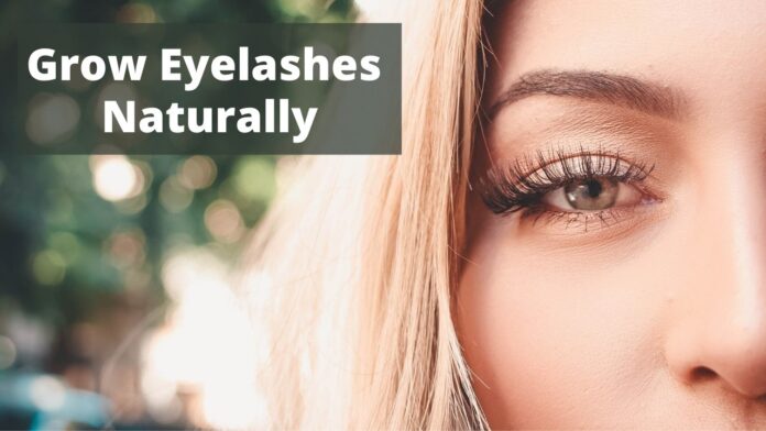 How To Grow Eyelashes Naturally at Home