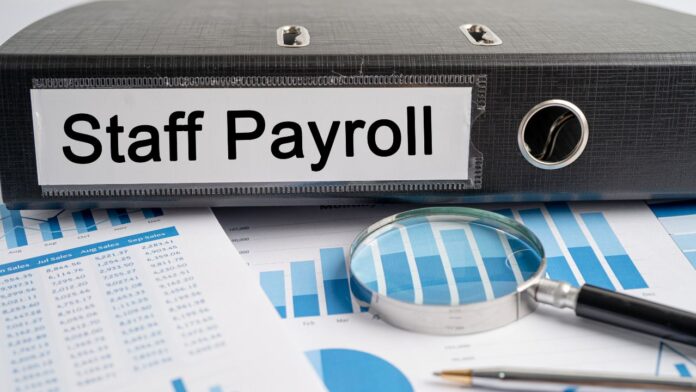 How Payroll Software Improves Your Business