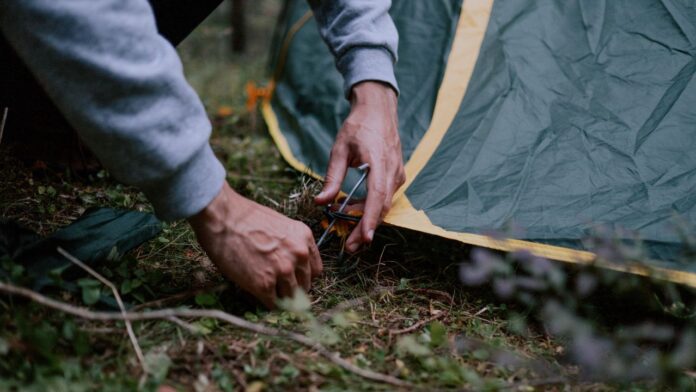 Campground Care Essential Maintenance Practices
