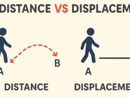 Difference Between Distance and Displacement
