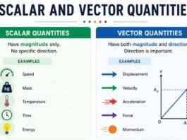 Scalar and Vector Quantity Explained with Examples